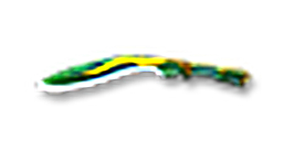 Kukri-Rio 180days