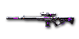 SR25_DoubleKnights 180days
